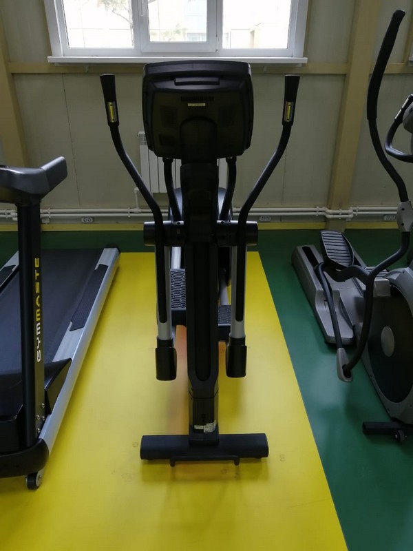 Эллиптический тренажер Vertex E-22R.1 Alpha Swing