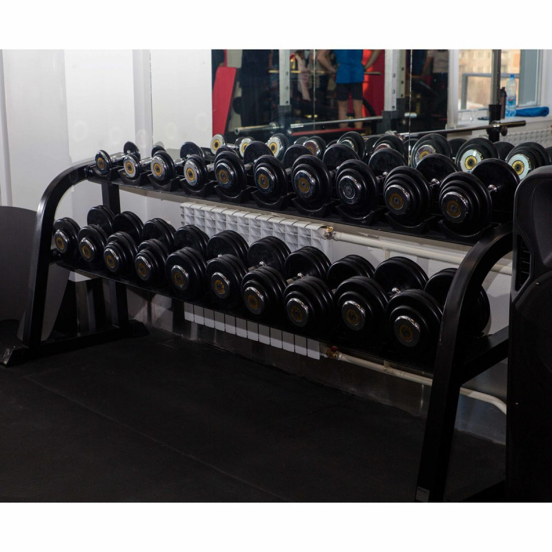 Гантельный ряд базовый (шаг 2,5 кг, 10 пар) 27,5-50 кг PROFI-FIT
