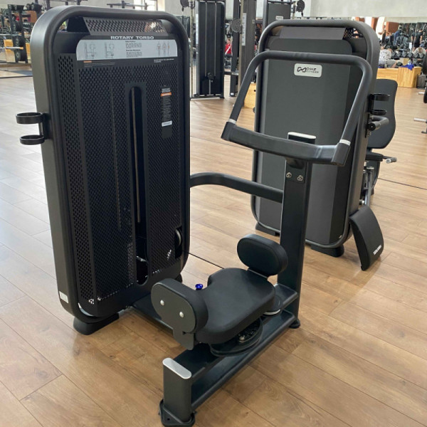 Вращение торса. DHZ E7018 (Стек 65 кг)