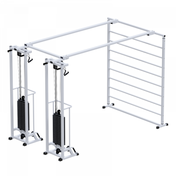 Биотонус-2+шведская стенка (стек 2х75кг) h 2,4 м