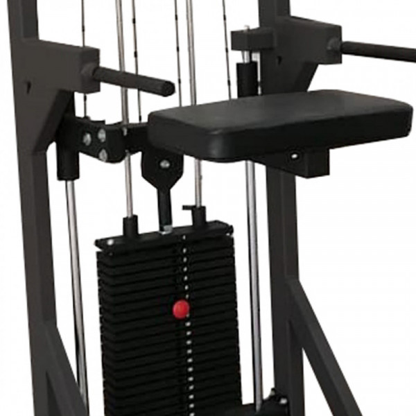 Гравитрон профессиональный BRONZE GYM PARTNER ML-701