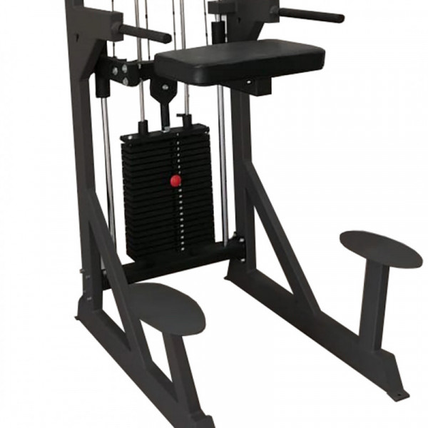 Гравитрон профессиональный BRONZE GYM PARTNER ML-701